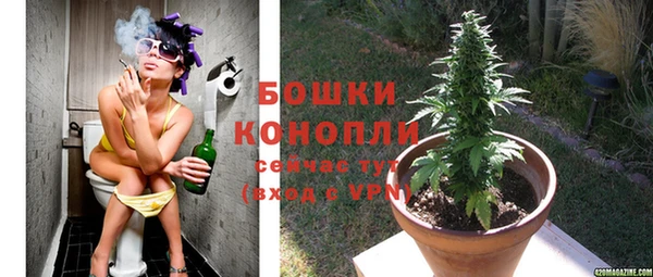 стафф Белокуриха