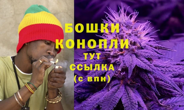 молекула духа Богородск