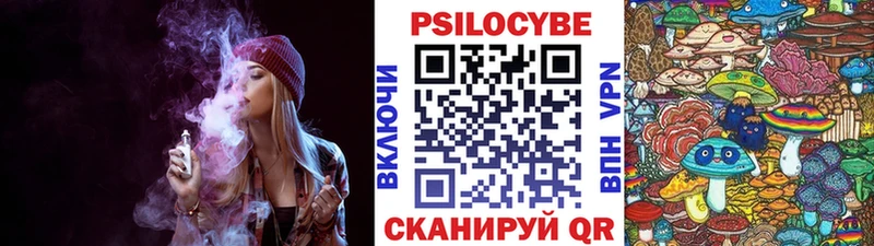 где продают наркотики  Борисоглебск  Псилоцибиновые грибы прущие грибы 
